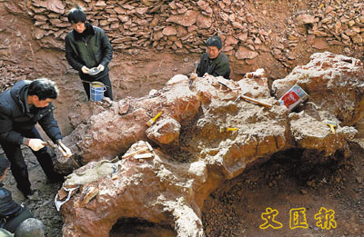恐龙化石出土