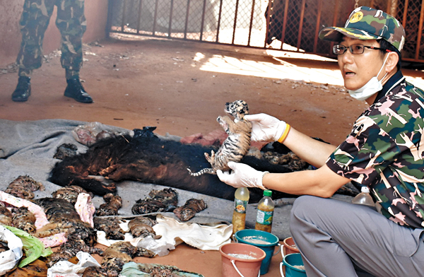 �������i�ܪ�͡C ���z��