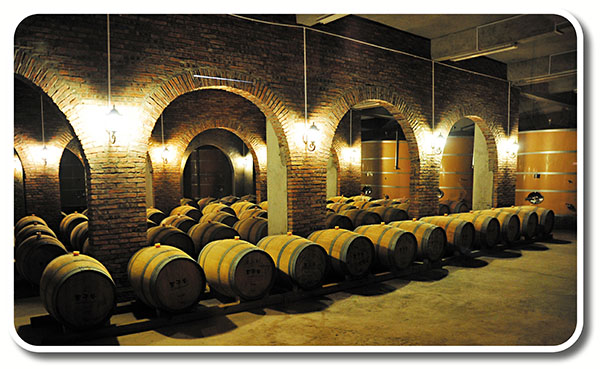 ���g�l���ζ��إߤF�븲��ͺA�شӶ�A�æb����¦���W�v�B���y�����G�s���C��������ǯu