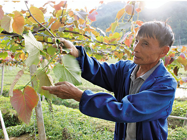 �����W�컡�A�L�̮a���o��븲��h�~�~���A�G��900��C�O�̤��p  ��