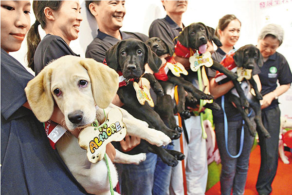 ■首批人工受孕的3男2女導盲犬昨日正式命名。趙虹  攝
