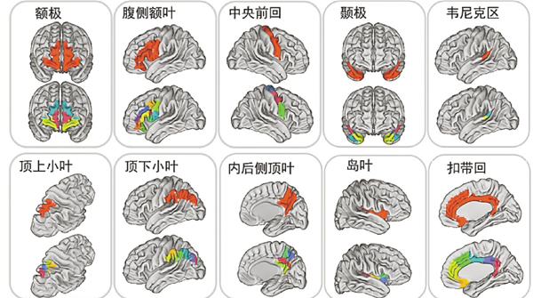 ���������չ��и��ϨȰϹ����C�����_�ʶǯu