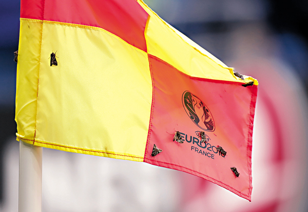 �������J�I�y���C ���z��