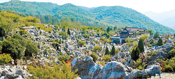 ���ۮ��g�c���I�C