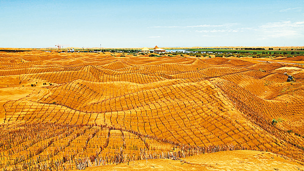 �����Q�귽���αĥκ���v�F�k���α���F�z�C ���W�Ϥ�