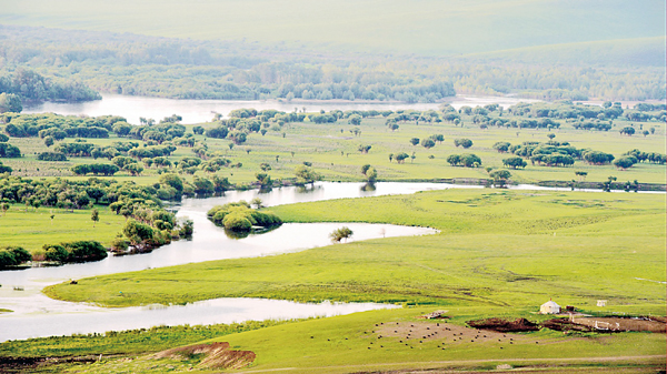 �����R�����X�j�B���j����a����C �����Ϥ�