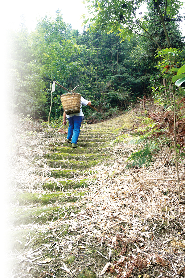 �����}�i���b�ۤv�צn���s���W�C