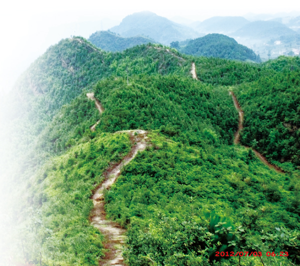 ���X�~�e�A�o�̪��s���٥u�O�ϸz�g���A�ȯਫ�@�H�C