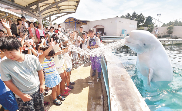 ���b�F�ʤ��W�ֶ���t�����b�V�C�ȼQ�����šC �k�s��