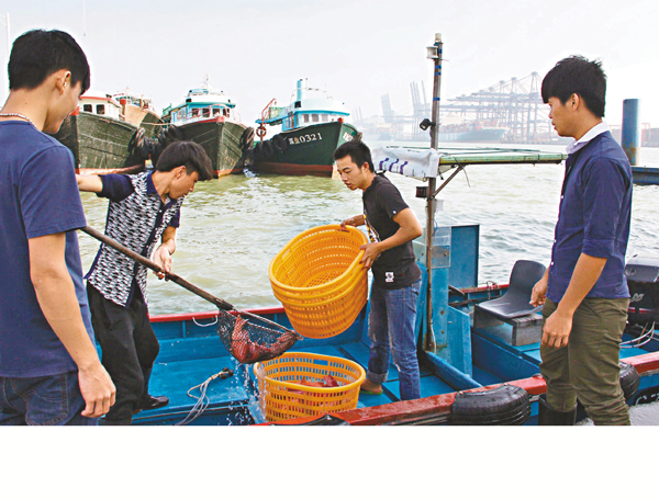 ■據了解，香港流動漁民大半漁獲銷往深圳市場。資料圖片