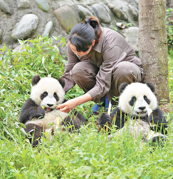 ���}�i���b�|�t���w�Ѯp�l��a�j���ߥ���餺���@�j���ߥ���C  ��ƹϤ�