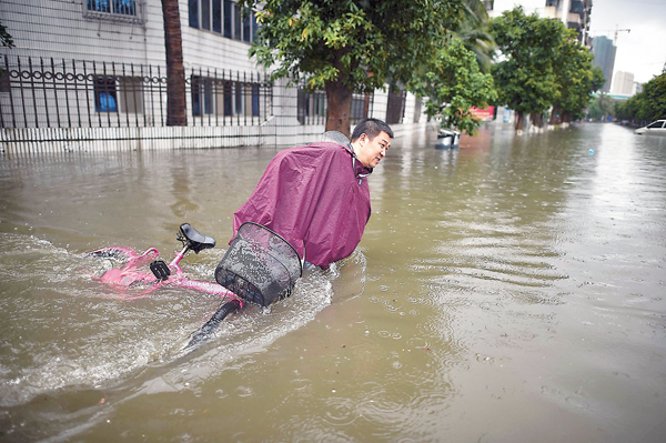 ���Q��A���f�������ӳ樮�A���e��C �s�ت�