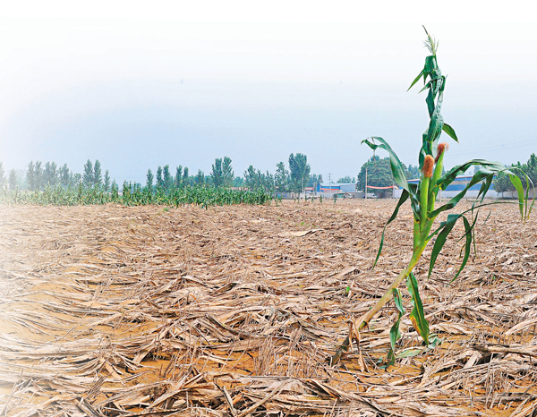 ���j����Q�R�����ɦ̦a�C�O���U�j�P  ��