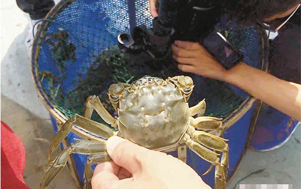 �����~�j�h�ɲ��q�j�T��֡A�ƺ����T���C ���W�Ϥ�