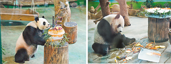 ���x�_���߰ʪ����|��u�j�ߺ��ιζ��y�ͷ|�v�A��謰���ǳƤF���G�M�̽��զ����B�~���A�����S�i�f�C�]�k�ϡ^���G�Υ̽��զ����B�J�|�Q��ꥴ½�@�a�C ������