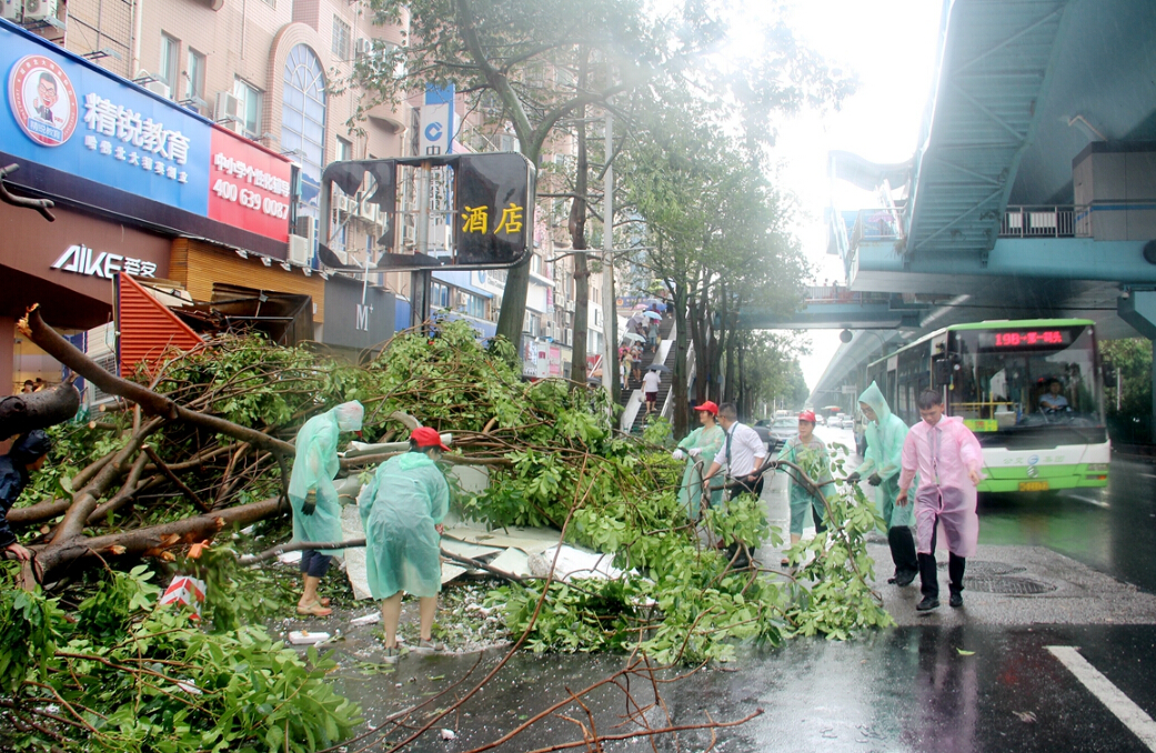 廈門某社區工作人員和市民冒雨清理倒伏的樹木。米南 攝