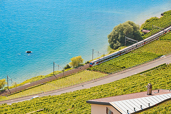 �b��h�賡�ԨU���᪺��Ц������L������C�s�ت�