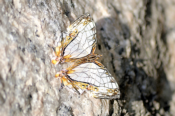 ��������u���������潺�C