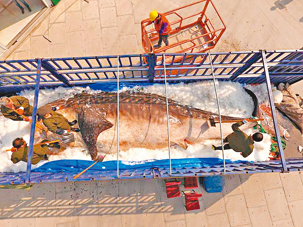 �������9.4�̡B����10�����H�T�B��Ѭz�C��a���v�ժ��]�w�ؿ�ѹ�