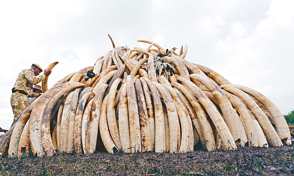 �����y�T��H��ĳ����o�q�L�C ���z��