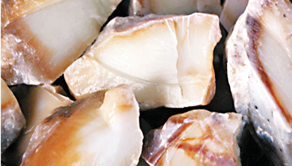 ���N�L�٪����դs�ߤW�o�{�@�y�i�}�Ħʦ~���j�����q�C ���W�Ϥ�