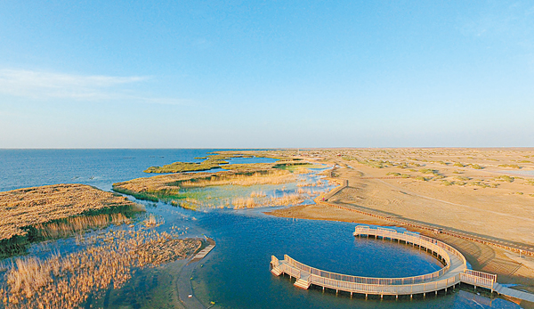 ���~������������C�s�ت�