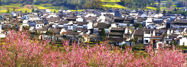 ���@�ɤ�ƿ�-�p�n�j�����軼���]�i���e��^