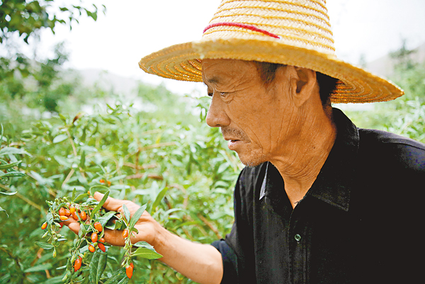 ���f�I�����ӱĺK�����e���O�B����b�K�Y�߯k�ӤS�L�`�C �O�̨v��  ��