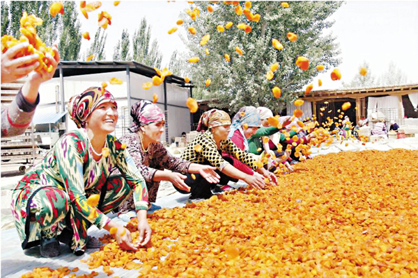 ���sæ�M�Сu���~�߳h+���ĳзs�v�߫��Ҧ��a�ʤF�s�j�A���h�P�I�C�Ϭ��sæ�Y�������צ��C ���W�Ϥ�