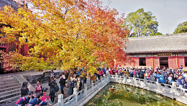 ���C�H�b�_�ʭ��s�����[������C