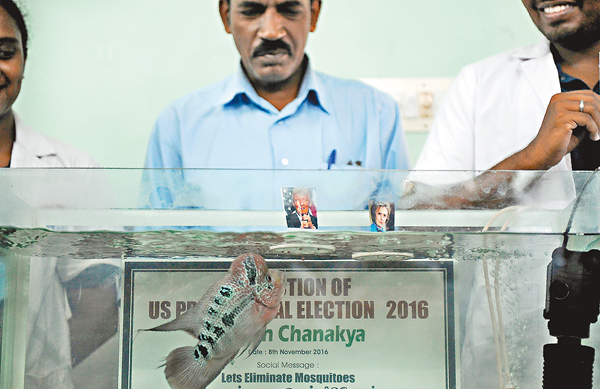 ���d�ǰ�ȤG�@3������V�K�W�S�Դ��Ӥ����B��C �k�s��