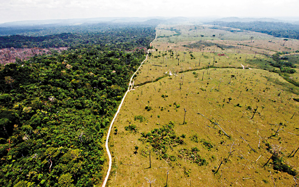 ■人類砍伐林木對生態造成嚴重破壞。 網上圖片