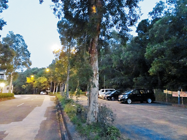 ���j�H�S�����۾F���v�a�X�@�i�ؼӭ���50�U��`�C ��ƹϤ�