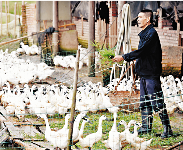 ����Ȱ|�`�ȷ|ĳ�q�L�u�Q�T���v��h����W���C�Ϭ��֫جٳs�����}�i��ǧ߳h�A�޾ɳh�x��q�ƾi�޶��ءA�P�i�W���C ��ƹϤ�