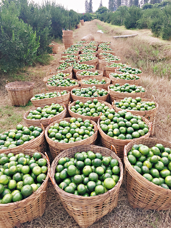 �����ֶR�a�e�ӱ��ʷs�|�a�C �O�̶��_�� ��