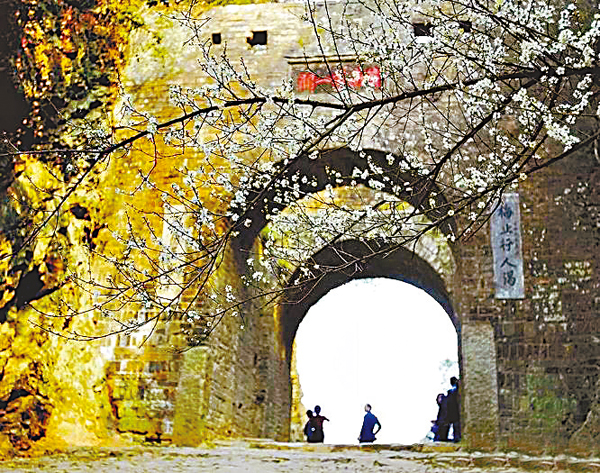 ���C�~12���ݦ~1�볣�O�����[��������̨ήɸ`�A���������ᴲ�G�b�u�n�f�����v�j��D��ǡA�D�`���[�C