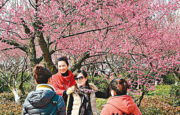 �����B���S�s���C�ȶi�J�`�s�M���C��ƹϤ�