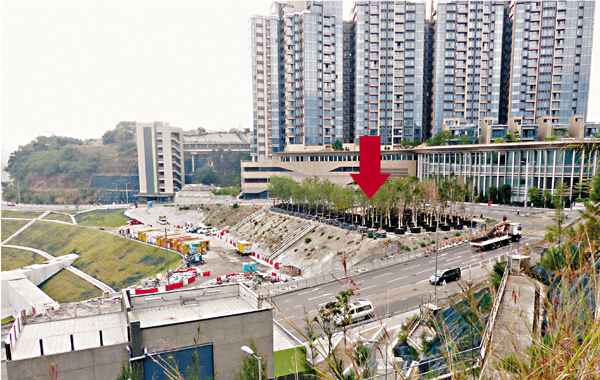 �����Я���1���A�Φh��1,000����A�u�K���v�۵P�Ʊa���׫p���Q���C�O�̱i����  ��