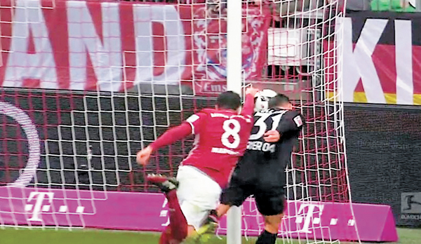 �����ѥ���(8��)�T�Ϥ��Ǥ�y�C ���W�Ϥ�