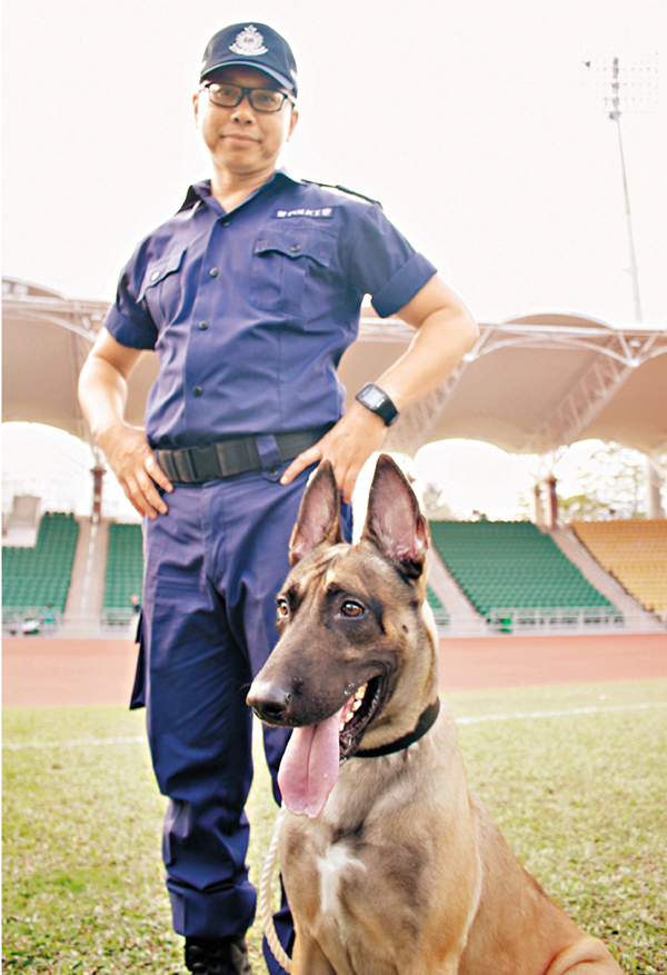 ���V�m�����w��Ĺ�ɩҦ�������ĵ��King�C ��§��  ��