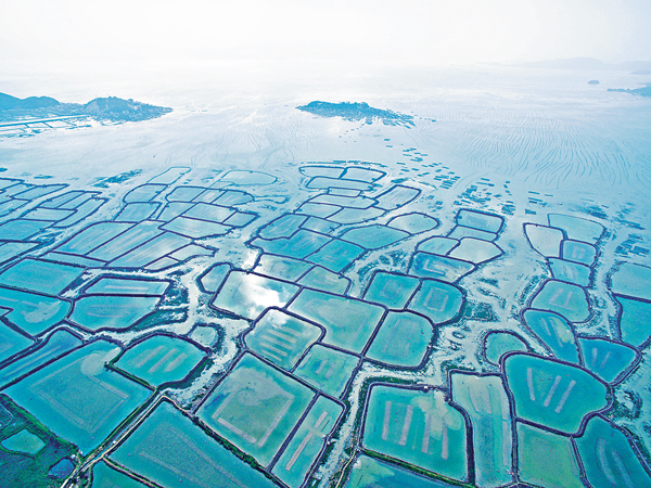 ���֫����������a�����޲z�O�@�C�Ϭ��֫ج��������F�����u���i�ޤ����C ��ƹϤ�