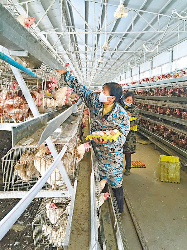 ���s�A�i�ަX�@�����\�a�ʤF���a�d�l�H�ﵽ�ͬ��C �O�����ɷ� ��