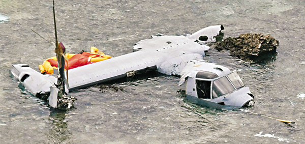 ���u���N�v���e�_�}�T�I�C ���z��