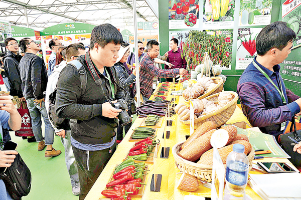 ��������~���u�}�~�ئb�سշ|�Ѯi�C �O�̫Ӹ�  ��