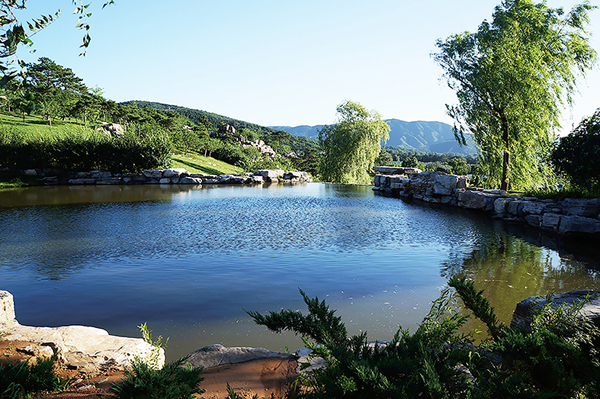 �W�a����