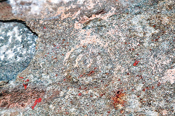 ���s�o�{�ݯʪ��H������