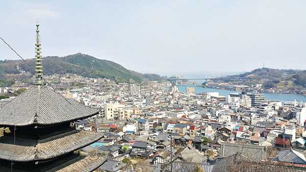 ���b�s�y����ѹ�x�T����P���誺�s���D�j�ӡA�O���D�̵ۦW������C