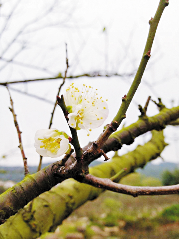 ������H��U���١C �@�̴���