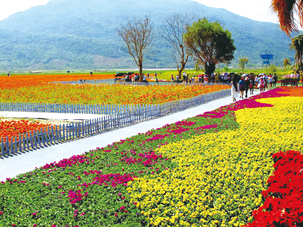 ���|�u�p�K