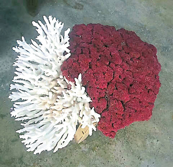 �����R������s�~�C �O�̦� ��